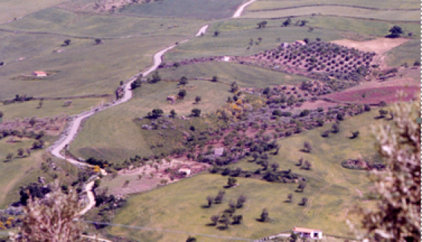 Panoramica di una strada rurale passante per il territorio di Troina